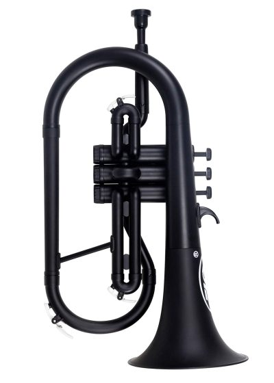 ZO Next Generation best plastic flugelhorn black