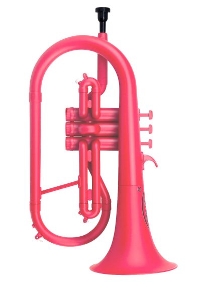 ZO Next Generation best plastic flugelhorn pink