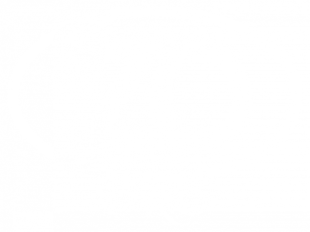 ZO-PRO-high quality instruments logo