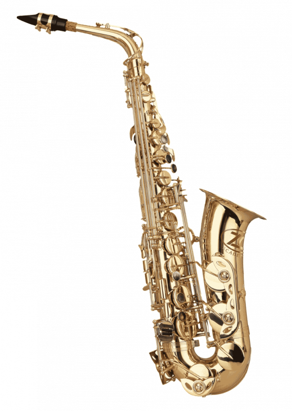 ZO Academy affordable alto saxophone for students