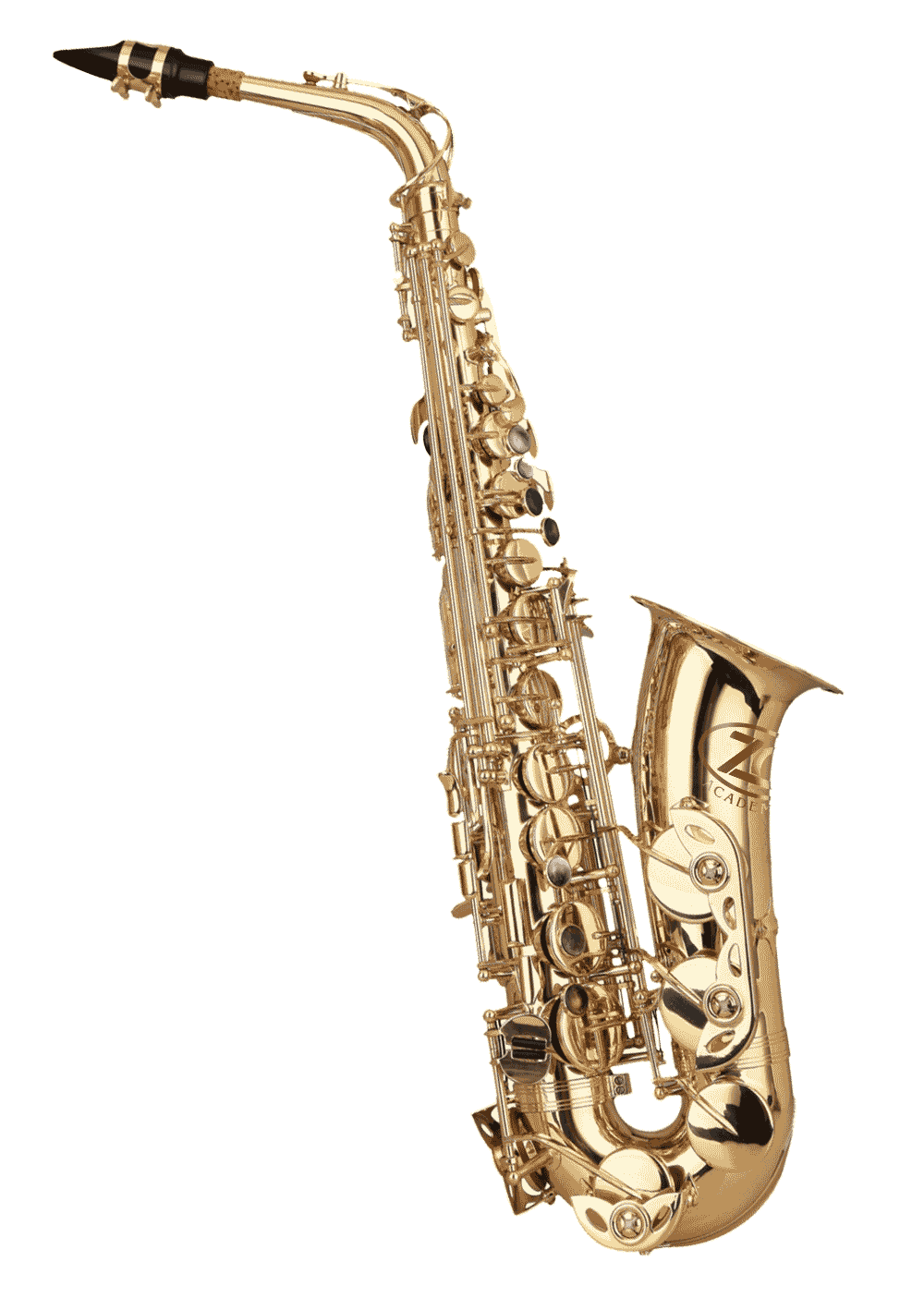 ZO Academy affordable alto saxophone for students