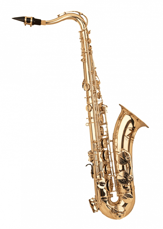 ZO Academy affordable saxophone for students