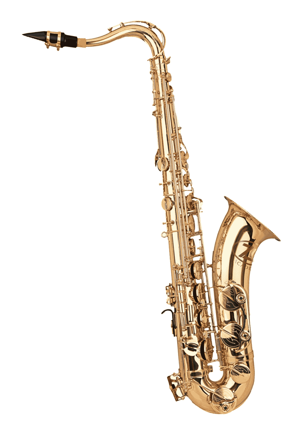 ZO Academy affordable saxophone for students